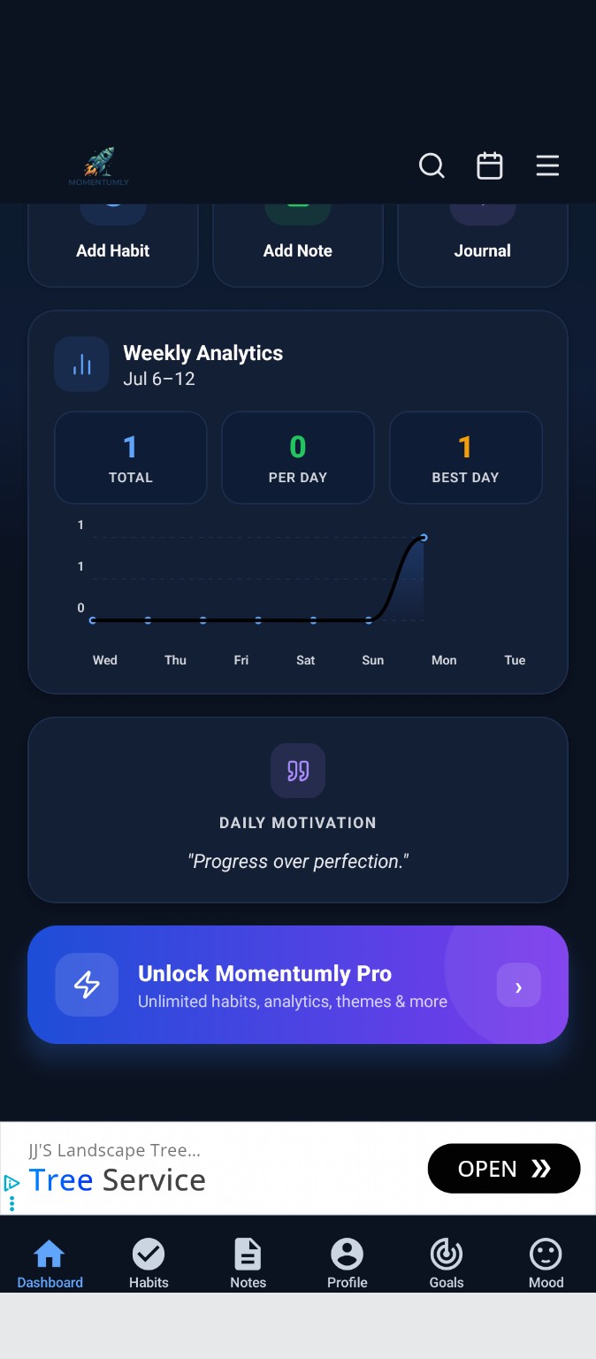 Momentumly analytics mockup